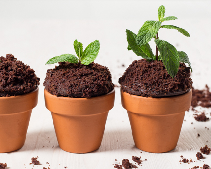 Cupcakes pots de fleurs au chocolat