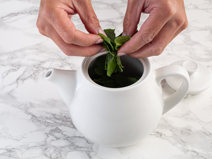 Feuilles de menthe qui se font déchirer et placer dans une théière