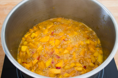 MangoChutney (8 of 14)