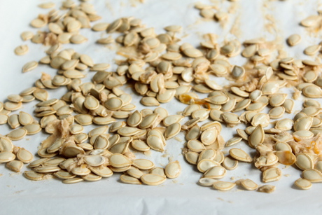 PumpkinSeeds (11 of 17)