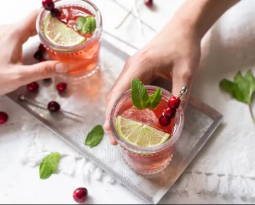 Cranberry_Mint_Punch_500x400.jpg