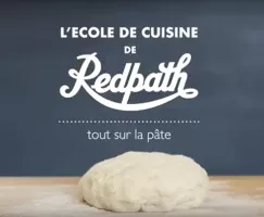 Tout sur la pâte